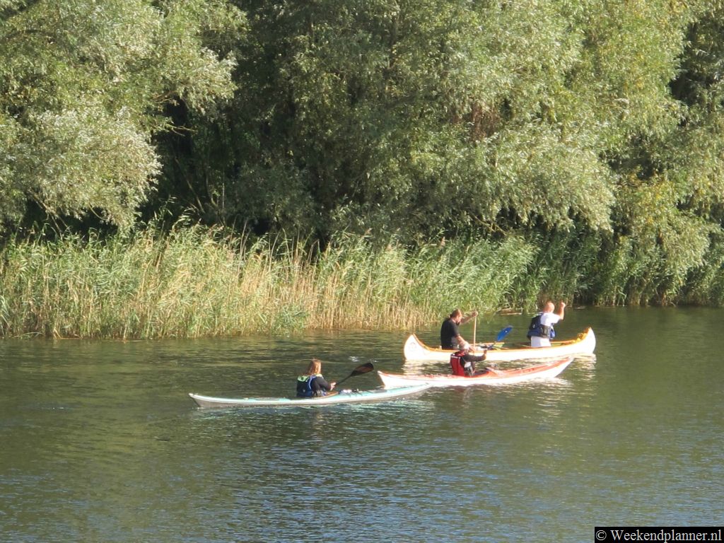 De Biesbosch is het beste te verkennen vanuit een boot. Met een kano of kajak kom je  zelfs in de kleinste kreken. Als je zelf geen boot hebt kun je er één huren bij de Brabantse Natuurpoort de Biesbosch-Vissershang. Adres: Visserhang 2, Hank.Tips: Ga eens varen in je eigen rubberboot of opblaasbare kano.
